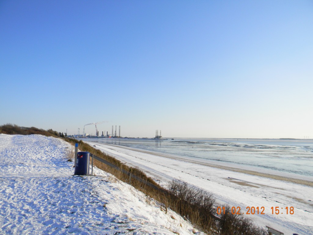 1. februar 2012 ved Sædding Strand