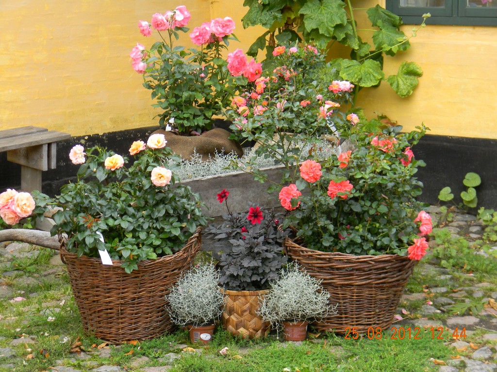 Blomsterkummerne står der endnu!