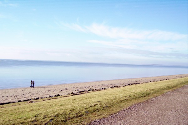 Sædding Strand 31. januar 2015